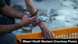 Fishing in the city of Izdeshahr in northern Iran, on October 27, 2018. File photo