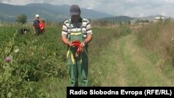 Архивска фотографија. 