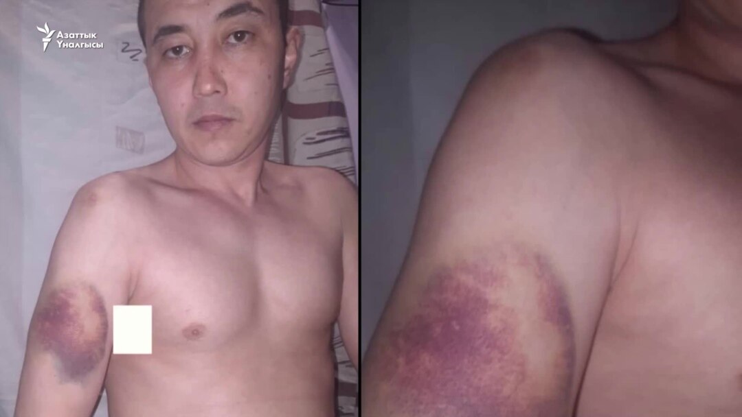 Үлкен араб бөксесі