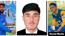 Afghan domestic cricket players killed