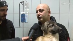 Сагро аз зери яху об берунг кард ва соҳибаш шуд