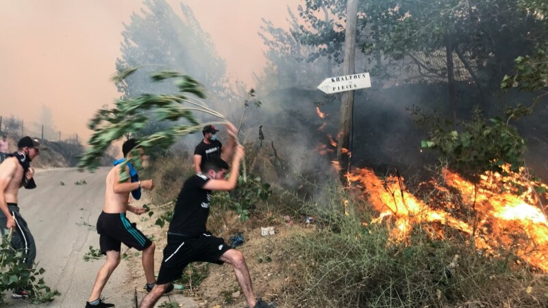آتش‌سوزی در جنگل‌های الجزایر؛ دست‌کم ۴۲ تن جان باختند