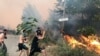 В Алжирі більшість лісових пожеж взяті під контроль