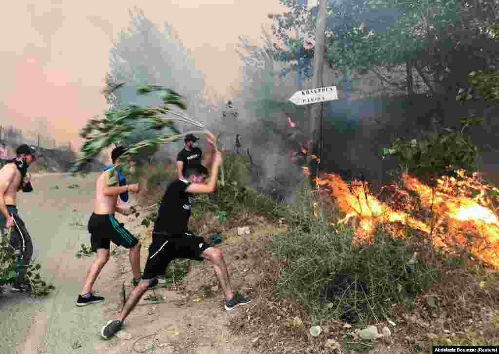 Njerëzit duke u përpjekur ta shuajnë një zjarr në provincën malore Tizi Ouzu, në lindje të Algjerit, në Algjeri. (10 gusht)