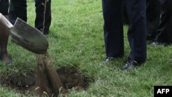 ارشیف، په کابل کې د نیالګیو کېنول.