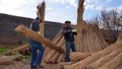 Turism rural cu bani americani şi suedezi