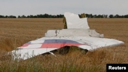 Part of the wreckage of a Malaysia Airlines Boeing 777 plane is seen after it crashed near the settlement of Grabovo in the Donetsk region.