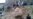 Afghans Say Extrajudicial Execution Was Un-Islamic