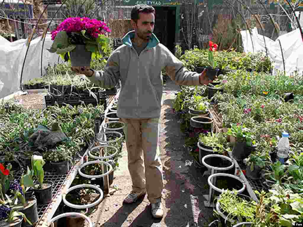 بازار گل، تهران. عکس از مهر