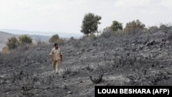 U šumskim požarima u Siriji 2020. godine stradale su tri osobe, a više hiljada hekara šume izgorelo