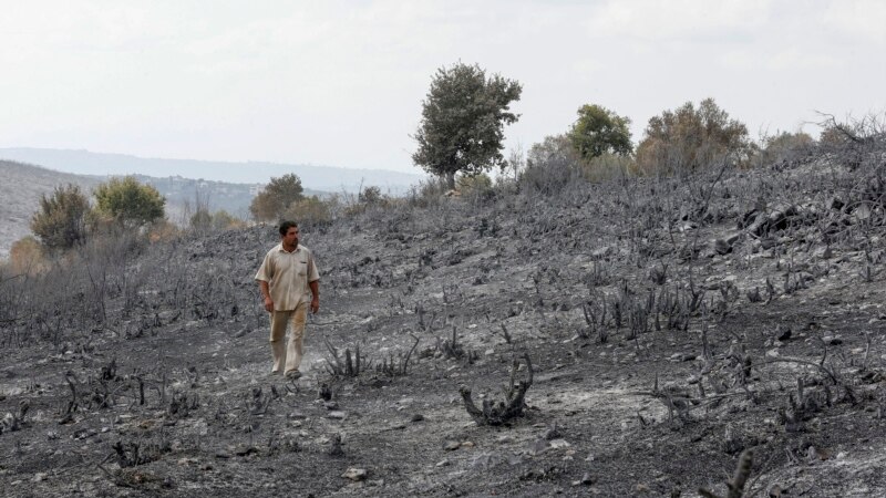 U Siriji pogubljene 24 osobe osuđene za podmetanje šumskih požara