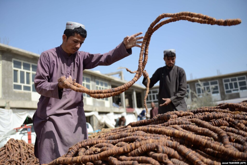 A trader sorts figs to sell at a wholesale market in Kandahar, Pakistan.