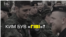 Видеофакты участия «Гиви» в боевых действиях против Украины (видео)
