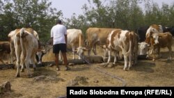 Архивска фотографија. 