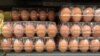 میلیون‎ها دانه تخم مرغ از بازارهای بلجیم و هالند جمع‌آوری شدند
