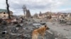 Собака бродит среди разрушенных домов и российской военной техники в Буче недалеко от Киева, 4 апреля 2022 года.
