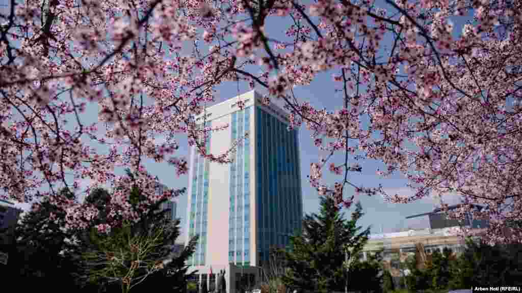 Zelenu površinu kod zgrade Vlade Kosova u kojoj se nalazi nekoliko ministarstava, još više je oživelo cvetanje drveća.