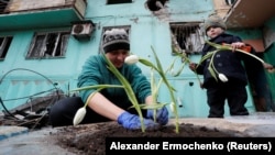 Viktoria Mukhina, stanovnica Mariupolja, lučkog grada na jugoistoku Ukrajine sa ćerkom Miroslavom sadi tulipane u blizini stambene zgrade oštećene ruskim granatiranjem, 4. april 2022.