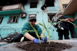 Viktoria (33 de ani) plantează lalele împreună cu fiica ei, Miroslava, lângă un bloc avariat de bombardamentele ruse din Mariupol, 4 aprilie 2022.