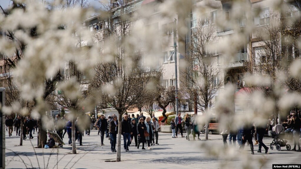 Qytetarët kanë shpeshtuar shëtitjet duke shijuar pamjet e bukura të krijuara nga lulëzimi i pemëve.