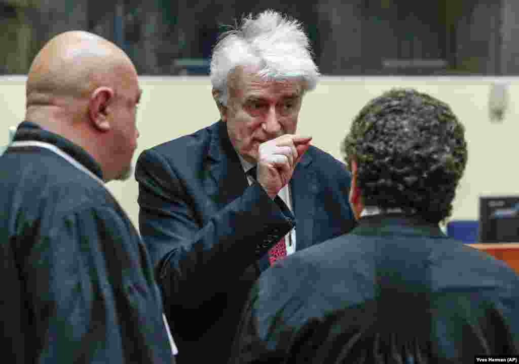 ХОЛАНДИЈА - Воениот лидер на босанските Срби Радован Караџиќ ја поднесе жалбата за неговата 40-годишна затворска казна пред судиите на Обединетите нации во Хаг. Тој тврди дека неговата пресуда треба да биде поништена поради правни грешки и бара ново судење.