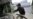 Pakistan Probes Alleged Terror Links To NYC Bomb