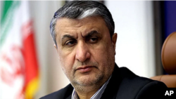 Mohammad Eslami, vicepreședinte și șeful Organizației Iraniene pentru Energie Atomică