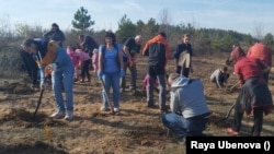  Засаждането на гората на 13 ноември 2021 година в Церово. 