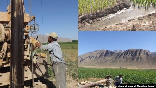 استفاده از آب زیرزمینی برای کاشت برنج در حوضه زاینده‌رود، عکس از کانال تلگرامی مهدی معتق