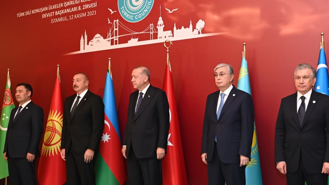 Көршіңіздің мысығын жалаңыз