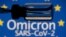 Смерть жителя Британії, імовірно, перший підтверджений випадок смерті інфікованого «омікроном» у світі