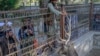 مسئولان: وضعیت بازدید از باغ وحش کابل به حالت عادی برگشته است