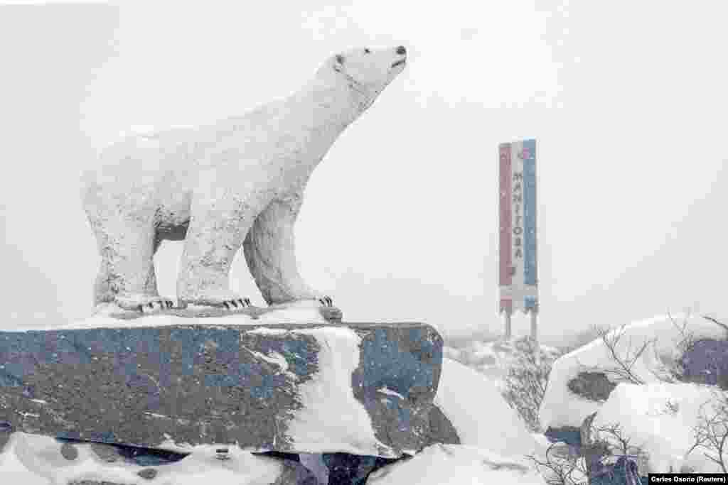 A Churchillbe érkezőket egy jegesmedveszobor fogadja a településen