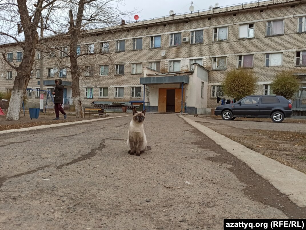 Жизнь под «шаныраком». Где ожидают причитающееся жилье бывшие детдомовцы  Уральска