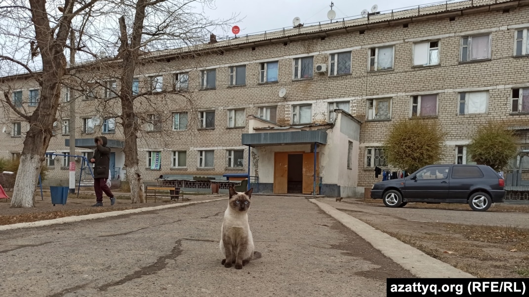 Өзбек порно трубкасы