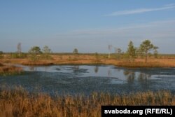 У такіх месцах за насьціл лепш не заступаць