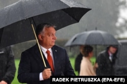 "Ne može to biti bez nekog obećanja. Što bi Orban davao Republici Srpskoj pare i to samo jednom delu države Bosne i Hercegovine?", komentariše Svetlana Cenić.