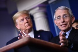 АҚШ-тың жетекші эпидемиологы Энтони Фаучи (оң жақта) мен АҚШ президенті Дональд Трамп. Ақ үй, Вашингтон, 17 наурыз 2020 жыл.