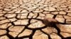 ۹۵ درصد مساحت ایران در معرض خشکسالی قرار دارد