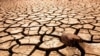 Drought in Khuzestan province, Iran. Undated.