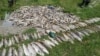 Svega nekoliko mjeseci prije incidenta na Limu, pomor ribe desio se i u rijekama Vezišnica i Ćehotina u Pljevljima u julu 2019.