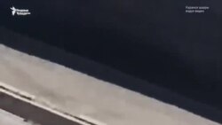 Дар Қирғизистон гурги фирориро куштанд