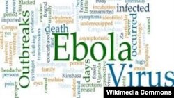 Africa, Congo, Ebola virus - an incurable disease