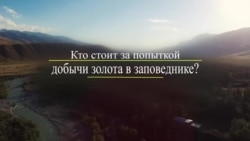 Чаткал: Кто стоит за попыткой добычи золота в заповеднике?