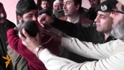 په خېبرپښتو نخوا او قبایلي سیمو کې د ګوزڼ مخنیوي کیمپېن پیل شوی