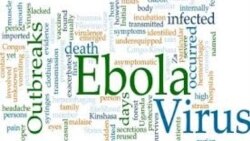 Продолжение политики: борьба с Эболой