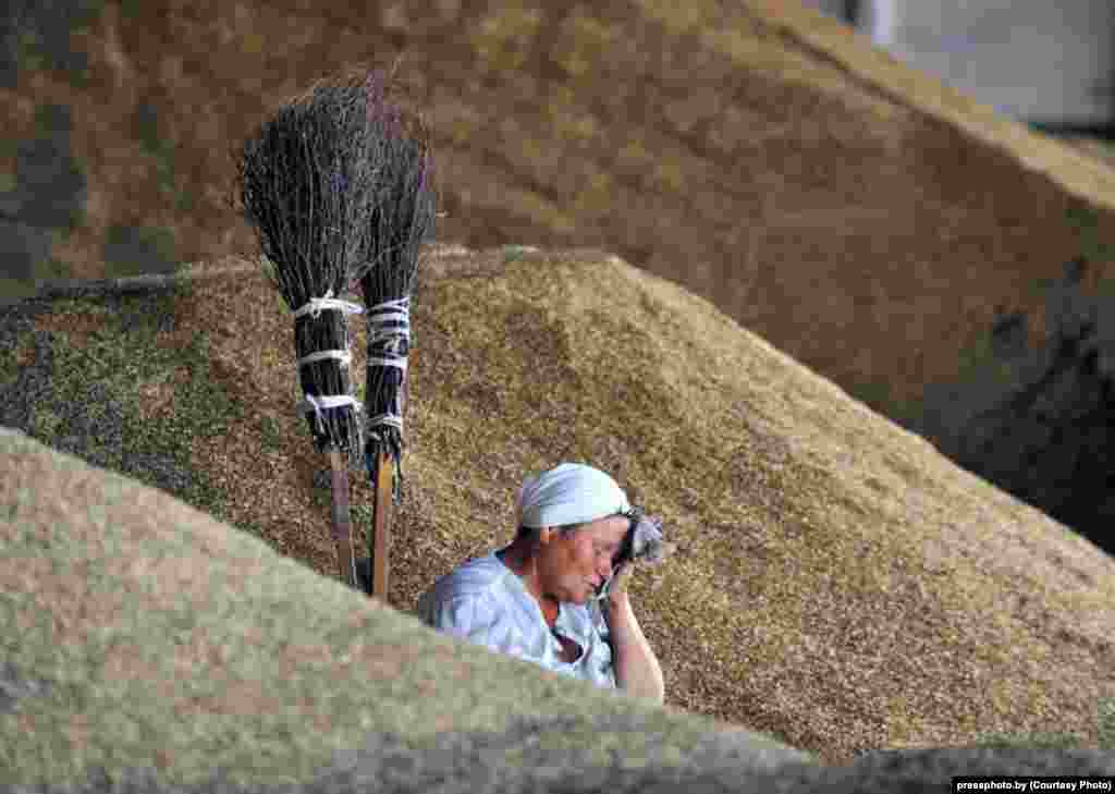 A woman on a farm takes a rest after harvesting wheat on a sunny day in the village of Yuryeva, north of Minsk. Photo by Viktar Drachou