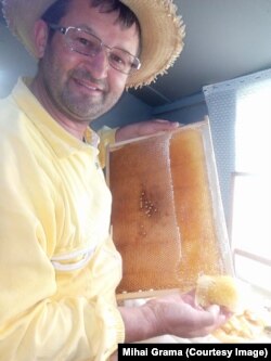 Mihai Grama este unul dintre cei mai pasionați apicultori din România.