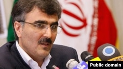 Mohammad Reza Farzin is Iran's new central bank chief. (file photo)