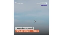 Самый северный город – Певек
